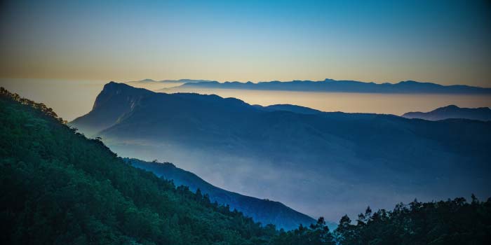 Munnar - Thekkady - Alleppey Hotel/HB