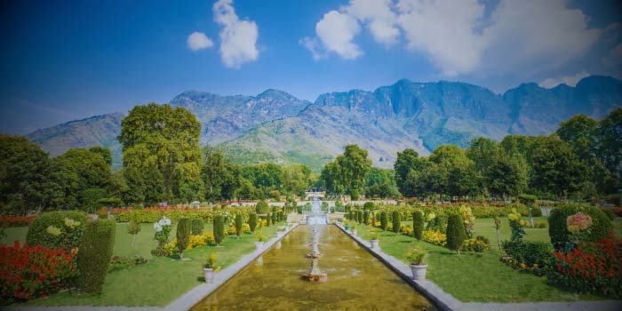 Srinagar -  HB Stay