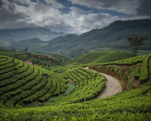 Munnar