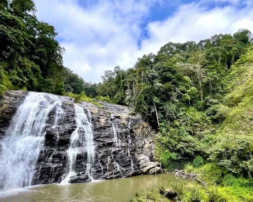 Coorg - Wayanad